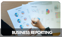 Business Reporting